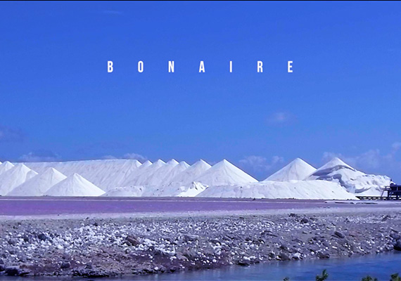 Footage shot on the beautiful island of Bonaire  /  © Ruud Bloemhof